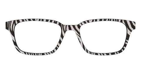 The Zebra Stripes