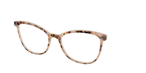 The Almond Tortoise with Gold Streaks
