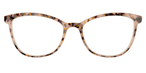 The Almond Tortoise with Gold Streaks