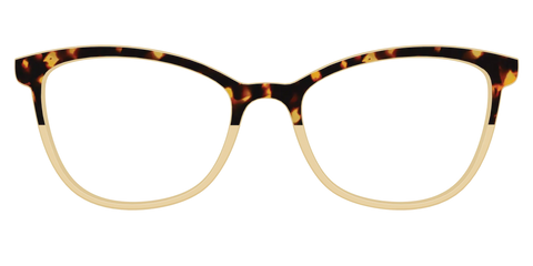 The Amber Tortoise Crystal Split