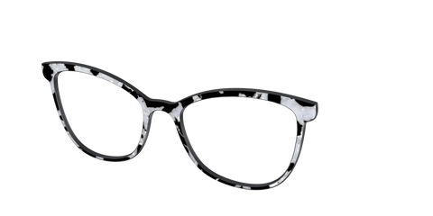 The Black & White Pearl Tortoise