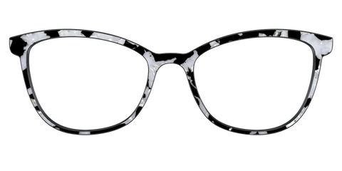 The Black & White Pearl Tortoise