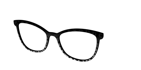 The Black Cheetah