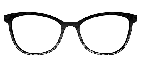 The Black Cheetah