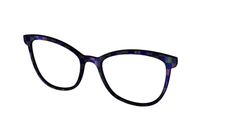 The Black Holographic Check