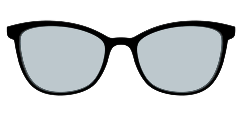 The Black With Slate Blue Lens