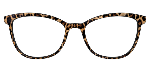 The Cheetah Spots
