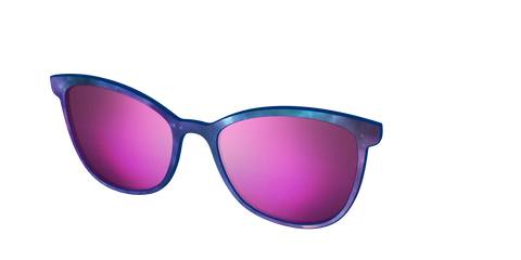 The Polarized Galaxy Sun Top