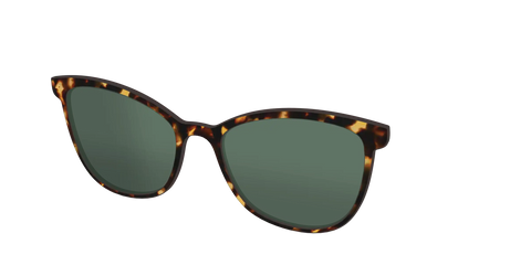 The Non-Polarized Green Tortoise Sun Top