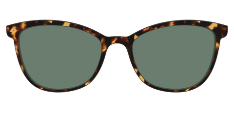 The Non-Polarized Green Tortoise Sun Top