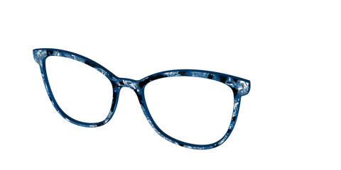 The Midnight Blue Pearl Tortoise