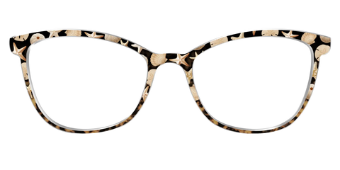 The Ocean Treasures Tortoise