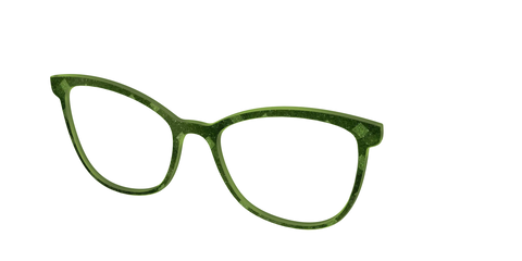 The Olive Geo