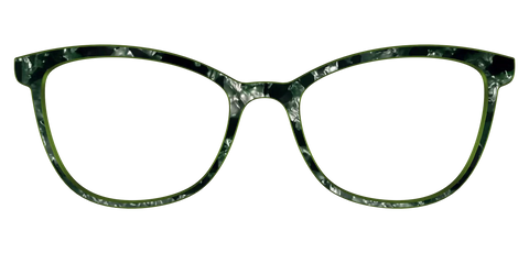 The Olive Pearl Tortoise