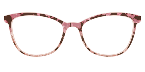 The Pale Peach Pearl Tortoise