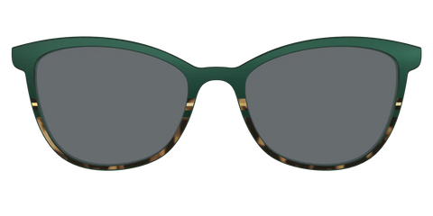 The Polarized Spruce Tortoise Sun Top