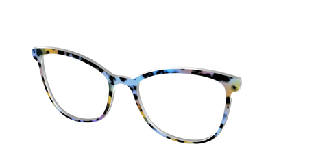 The Positano Tortoise