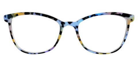 The Positano Tortoise