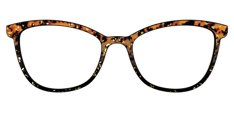 The Rustic Gold Leaf Tortoise