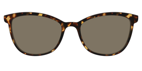 The Polarized Tortoise Sun Top