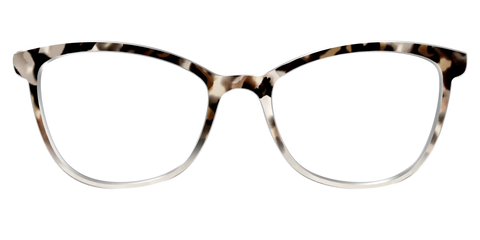 The Vanilla Latte Tortoise