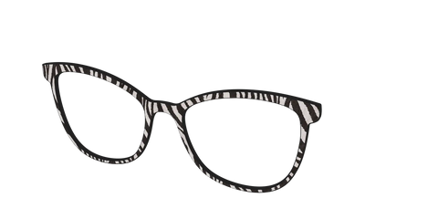 The Zebra Stripes