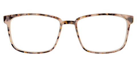 The Almond Tortoise with Gold Streaks