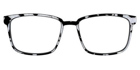 The Black & White Pearl Tortoise