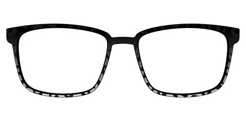 The Black Cheetah