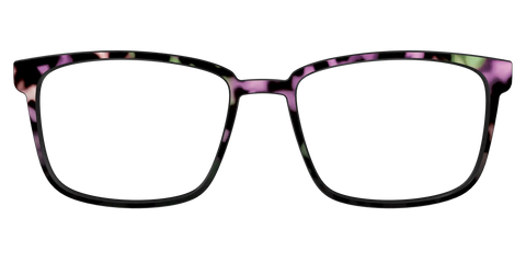 The Boysenberry Tortoise
