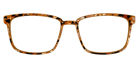 The Caramel Pearl Tortoise