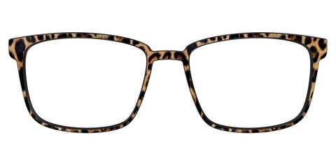 The Cheetah Spots
