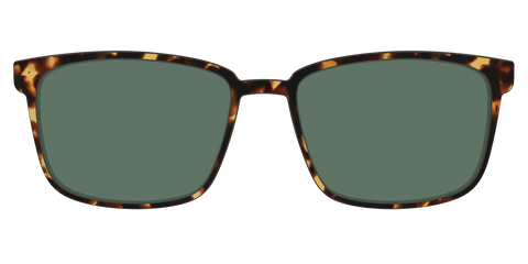 The Non-Polarized Green Tortoise Sun Top