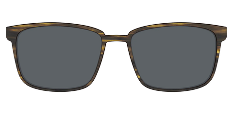 The Polarized Horn Sun Top