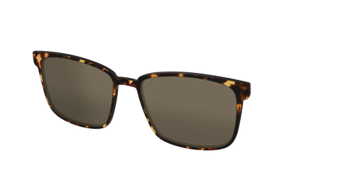 The Non-Polarized Tortoise Sun Top