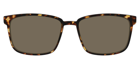 The Non-Polarized Tortoise Sun Top