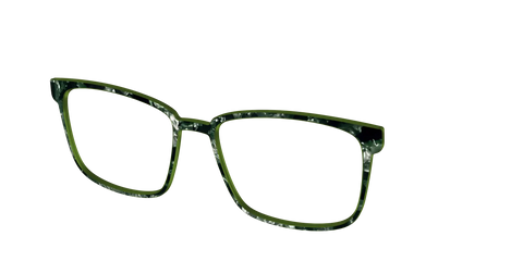 The Olive Pearl Tortoise
