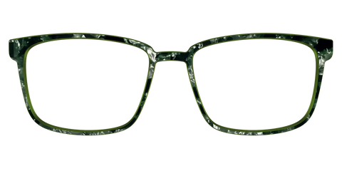 The Olive Pearl Tortoise