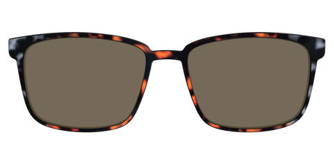 The Polarized Gray & Amber Tortoise Sun Top