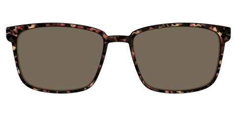 The Polarized Sienna Tortoise Sun Top