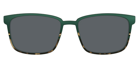 The Polarized Spruce Tortoise Sun Top