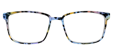 The Positano Tortoise