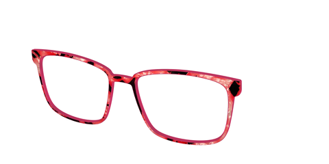 The Red Agate Pearl Tortoise