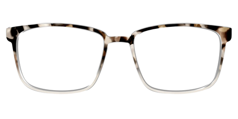 The Vanilla Latte Tortoise