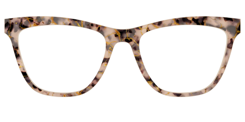 The Almond Tortoise with Gold Streaks