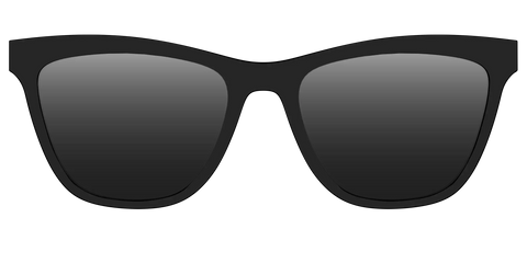 The Polarized Black Sun Top