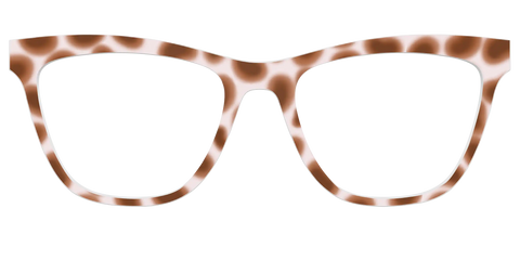 The Caffé Tortoise
