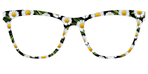 The Delicate Daisies