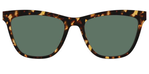 The Non-Polarized Green Tortoise Sun Top