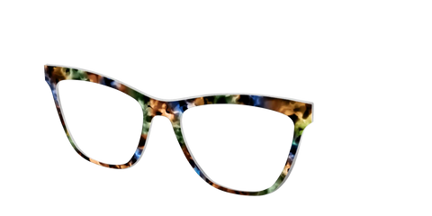 The Hearthside Tortoise